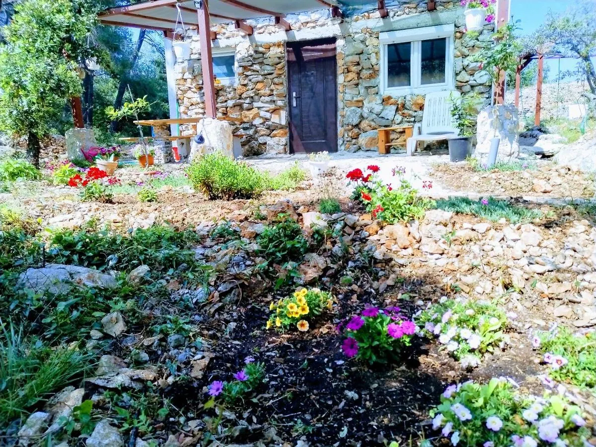 Isolated, 30M To Sea, Viktoria S Cottage Kali
